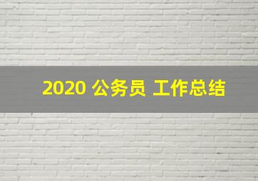 2020 公务员 工作总结